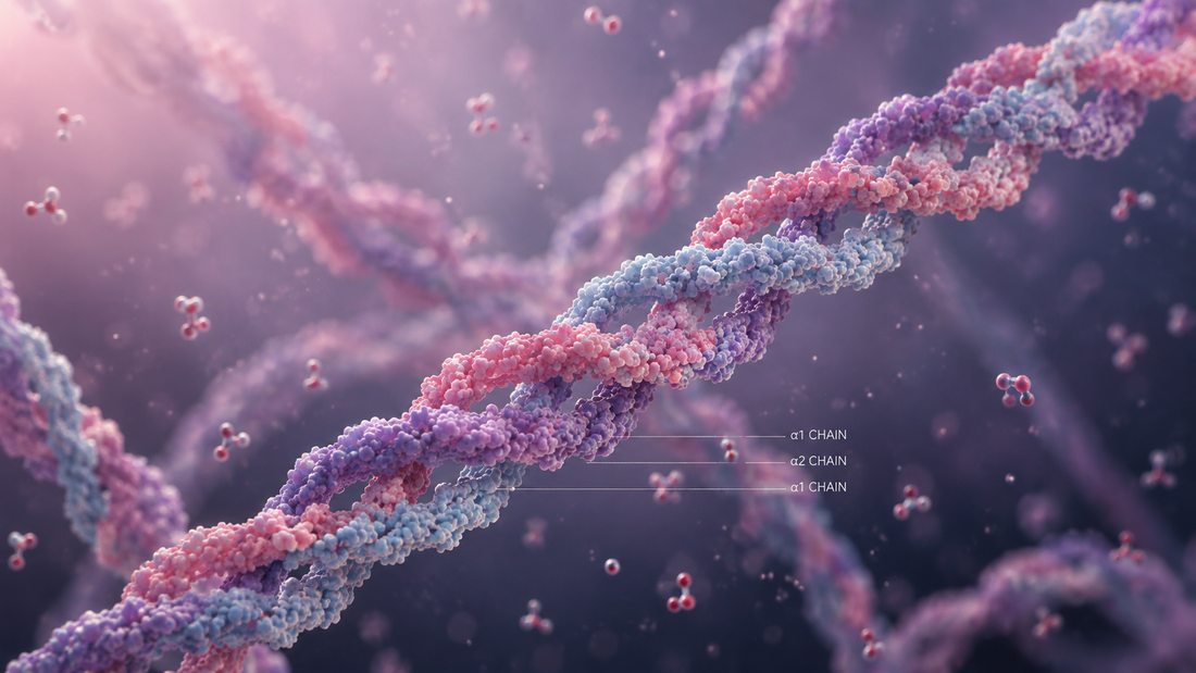 This image is an AI generated representation of collagen. 